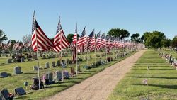 Flags at Oberlin Cemetery